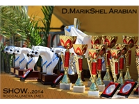 D MARIKSHEL ARABIAN show D