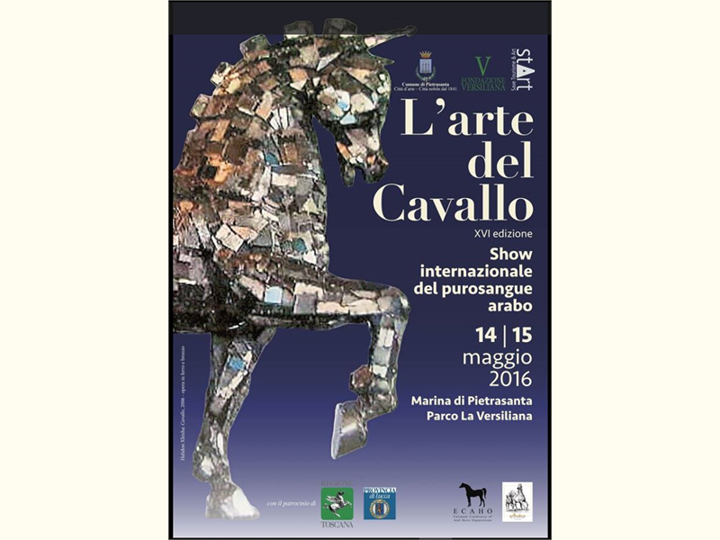 ARTE DEL CAVALLO - ritorna nel parco della Versilia il concorso ECAHO