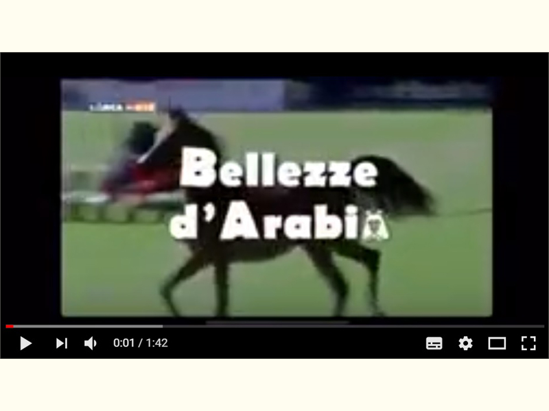 ARABIAN HORSE CUP 2018 - Palermo show in video